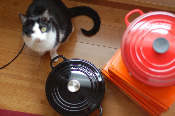 My Le Creuset beautiful pans and my adorable cat!