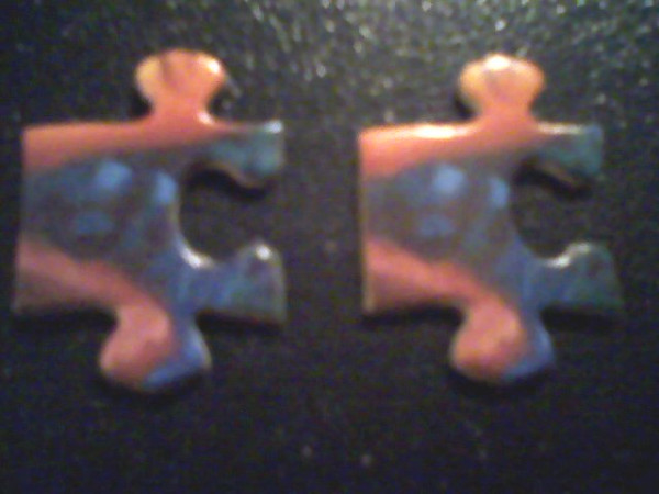 Somehow I got a duplicate piece in my puzzle. Hope I'm not missing a different 1