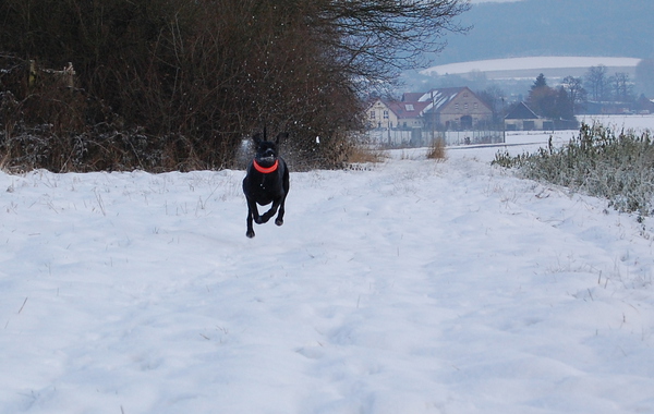 Alle Wettervorhersagern, Statistikern und sonstigen Unkenrufern zum Trotz: es liegt Schnee! #weisse #weihnacht