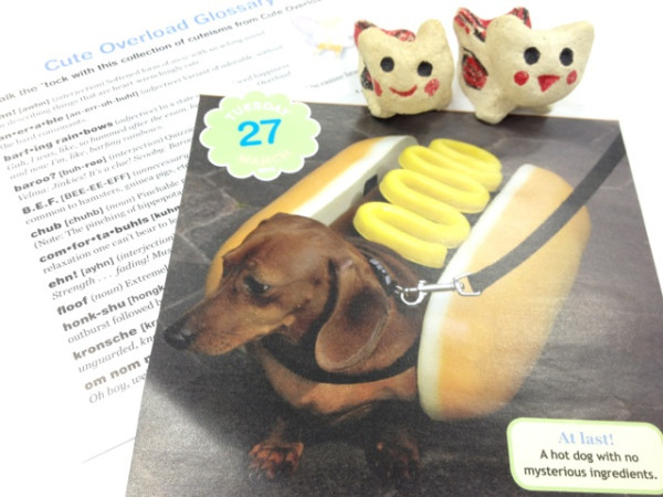 A hot dog! from Cute Overload
