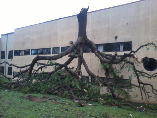 St barnubus united methodist near martin