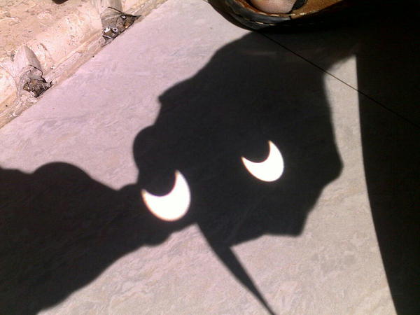 This one is for @brainzacharya. Are you not watching Pradeep? #solareclipse #nagpur
