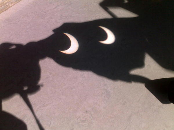 #solareclipse at its peak at #nagpur. Light is eerie and soothingly soft. Cool breeze blowing. Doves have come in to roost. @eclipsewatch