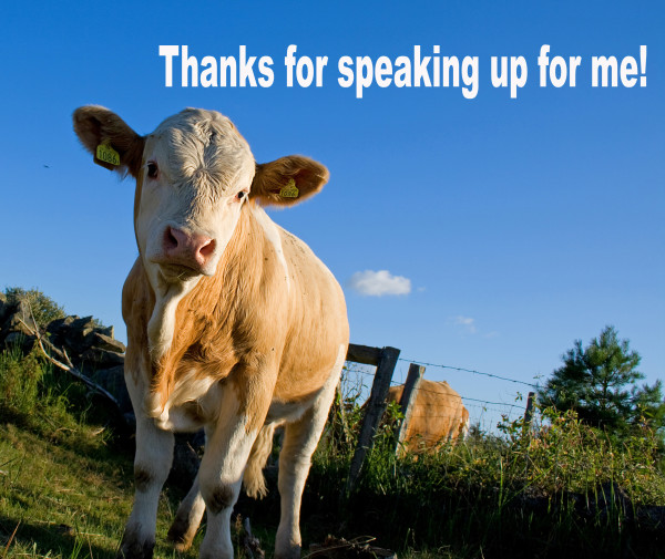 Twitpic