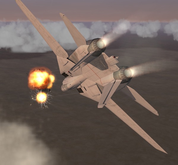 WIP shot from upcoming F14 game.