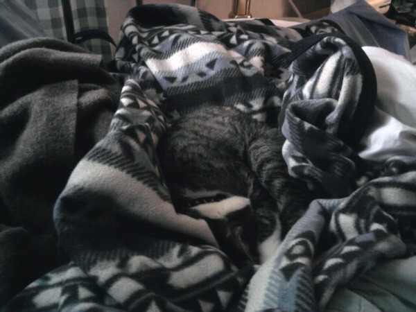 Camoflage