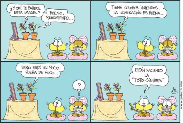 #Ja140 @_AndyJr Foto-síntesis --->