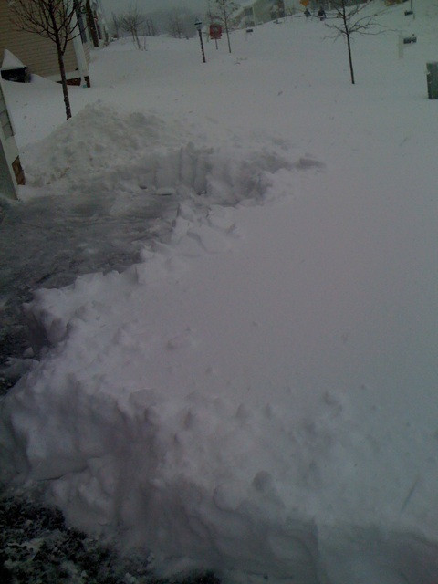 I'm the only one shoveling. The rest are using snow blowers.