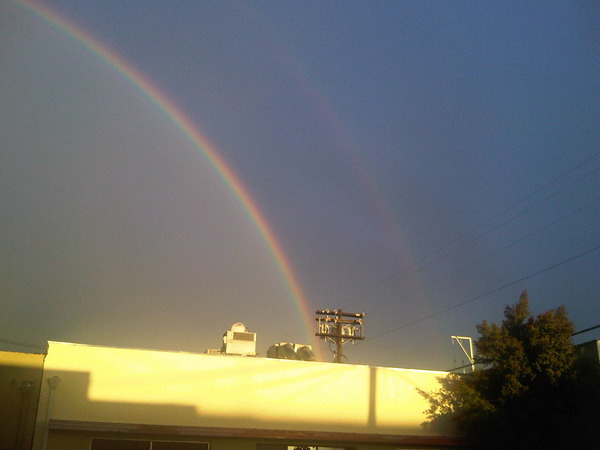 See the double bow