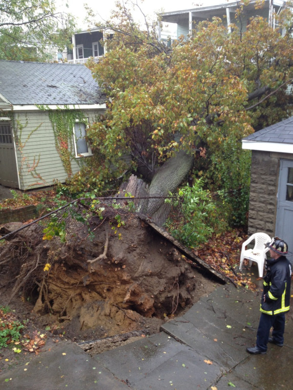 Rear of 26 Turner St. in Brighton