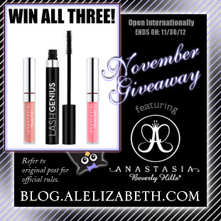 http://blog.alelizabeth.com/2012/11/november-beauty-giveaway-anastasia.html