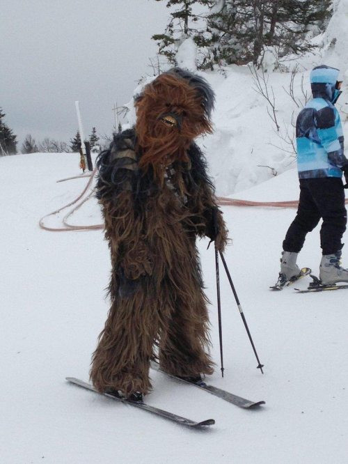 Bilder, über die ich schon den ganzen Tag schmunzeln muss. Folge 3: Skibacca.