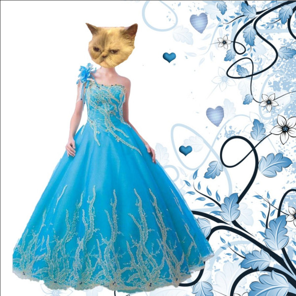 @FlobyDoby1 Floby, does U likey this gown for the #VP2013 Ball ?