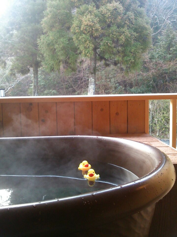 泊まった部屋のベランダに露天風呂がついるのだが目の前にたわわに咲いた杉が…花粉症の人には地獄に違いない。
で、持参したLED発光アヒルを浮かべてみたw