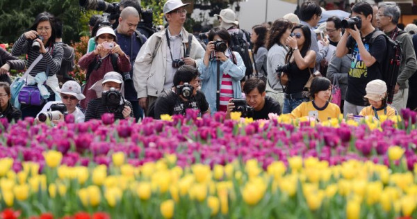 Visitors take pictures at the flower show in Hong Kong on March 15, 2013. Organizers expect around 500,000 visitors over the annual 10-day event.