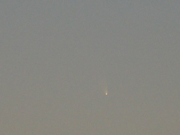 パンスターズ彗星　視野中央トリミング。