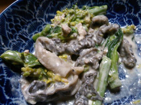 トガリアミガサタケちゃん早速料理した。煮こぼした後に菜の花と一緒に家に常備してある七面鳥のパテとクリームチーズでバター炒めしたった。春すなー