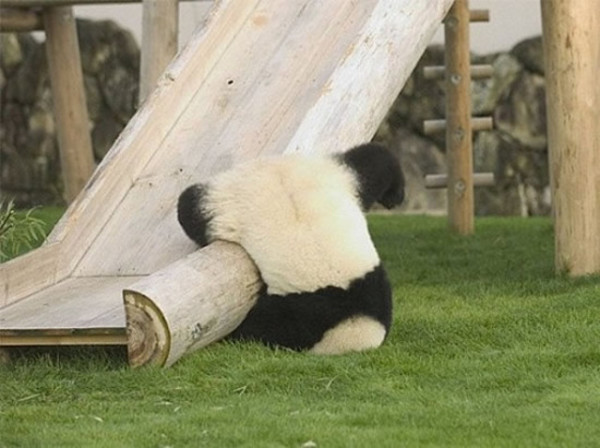 Having some technical difficulties right now. Please stand by: 