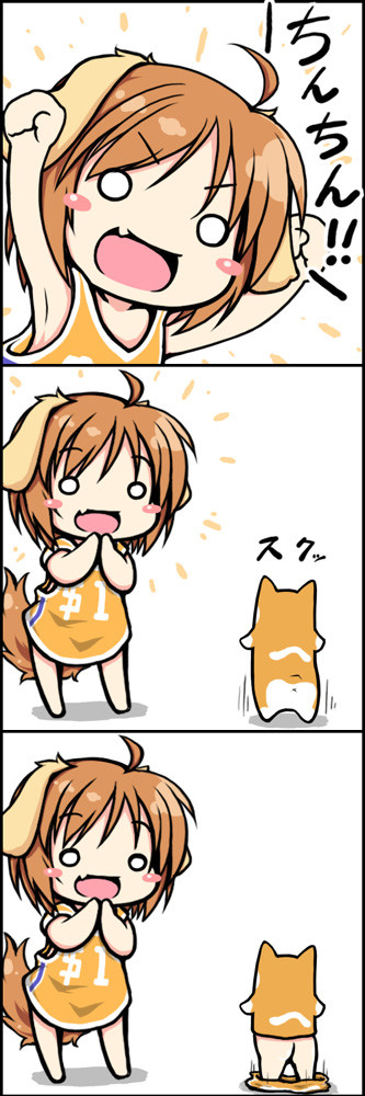 芸達者コーギー2