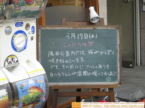 モスバーガー秋葉原末広町店の黒板3/17(水)昼版 - 「隅田公園内では桜が咲き始めています。でも、その前に!!プールの周りを白いモクレンが満開に咲いてました♡」モス店員、モクレン満開宣言。