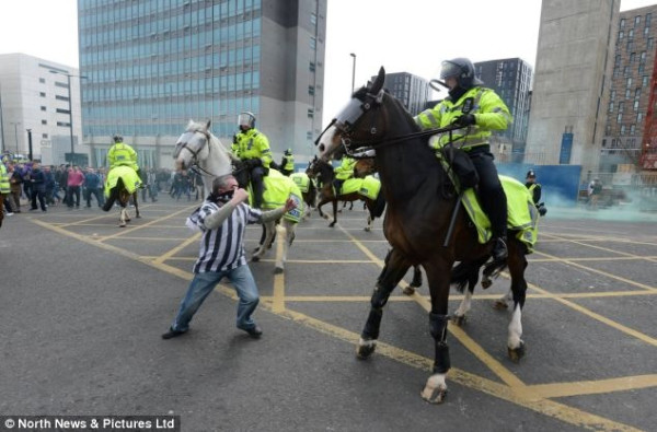 Here's a Newcastle fan trying to fight a horse 