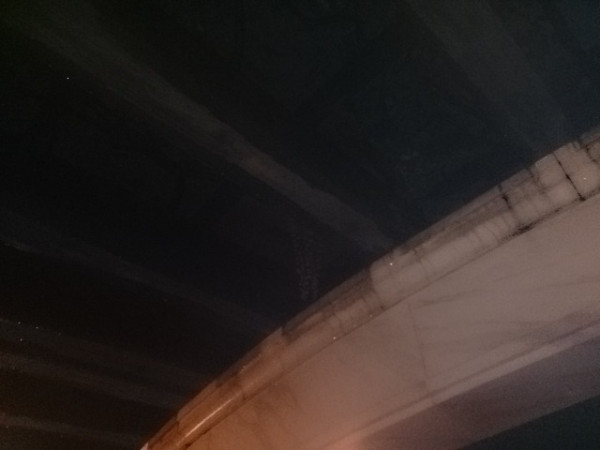 ウォーターフロントパークの藤棚も咲いてた。