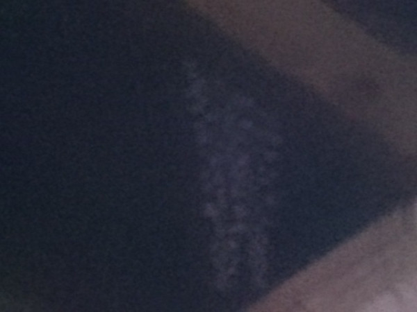 ウォーターフロントパークの藤棚も咲いてた。 http://twitpic.com/ckmv93 