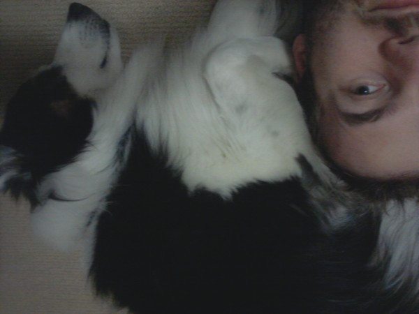 The proportion of hair:animal isn't quite right to copy @phonicpod ... (@biccy)
 