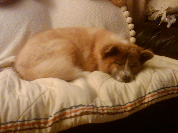 aawww I should be doing the same right now