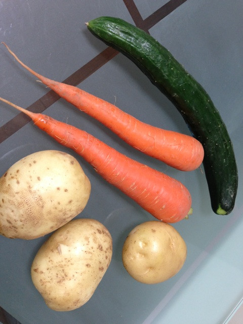 今朝、畑で採れた野菜。