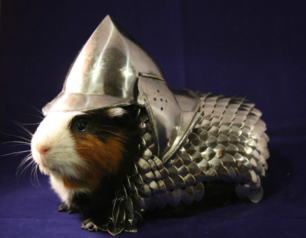 Hand-made Guinea Pig Scale-Mail &amp; Helmet by mightys0x: http://j.mp/12QMxPY