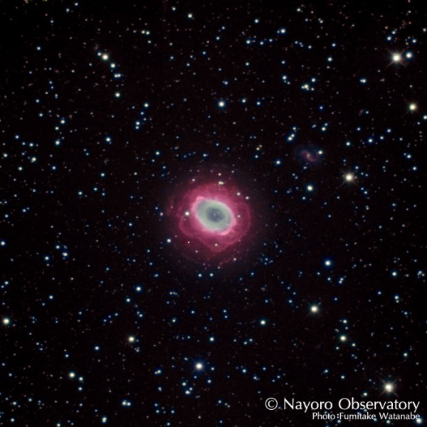 先日、４夜をかけて撮影したM57リング状星雲です。Hα（水素の出す赤い光）だけを通す特殊フィルタを用いて撮影したので、普通のカメラでは写らない外側の赤い所まで写っています。