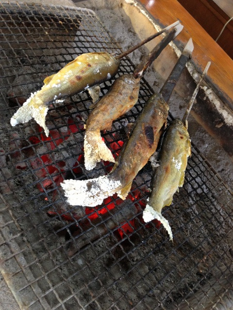 鮎、あまご、いわな。炭火で2時間焼いているとか。水場がすぐ近くにあるおかげか冷房なしでも涼しい at 下呂温泉 合掌村 市倉