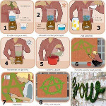Top Succulents To Create A Colorful Garden http://grassseedgermination.org