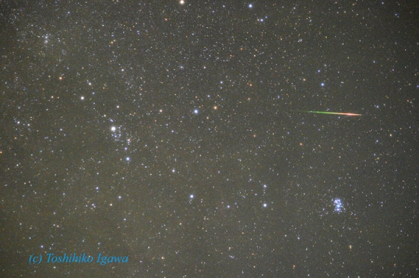 【 #ペルセウス座流星群】昨夜（8/13未明）とらえたペルセウス座流星群の流星です。色の変化が美しい～♪ まだ今晩もチャンスありますよ！  