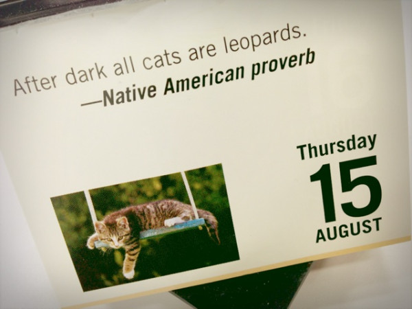 日が暮れて、すべての猫が豹になる。 After dark all cats are leopards.