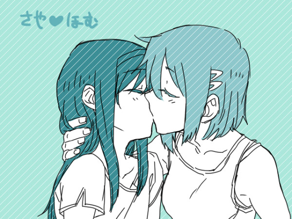 さやほむ分が欠乏していたので
