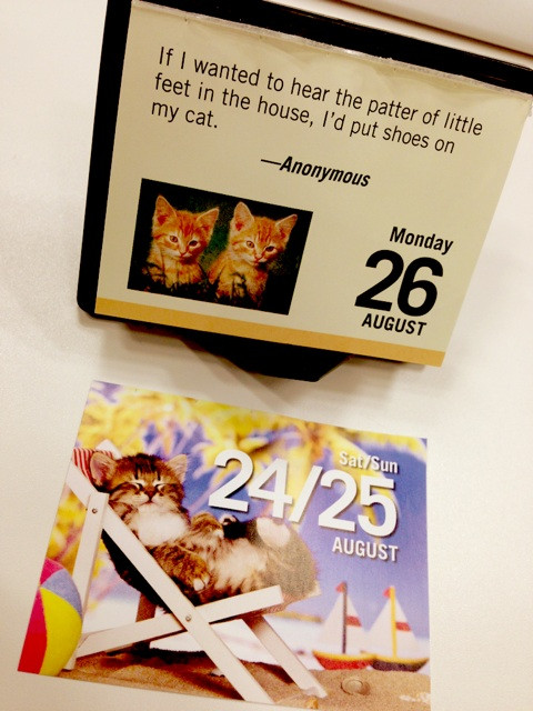 Monday 26 August