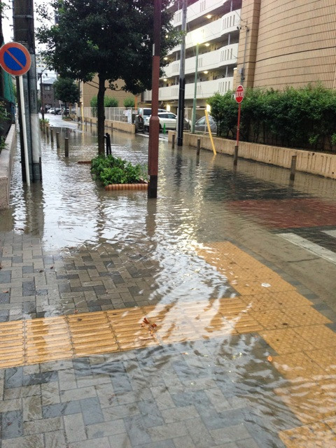 こっちも水たまり。