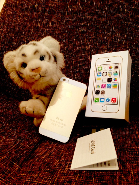 iPhone 5s 64GB GOLD + USIM Card
