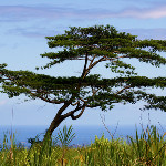 Great Travel Advice To Simplify Your Lifestyle http://www.gambangwaterpark.org/