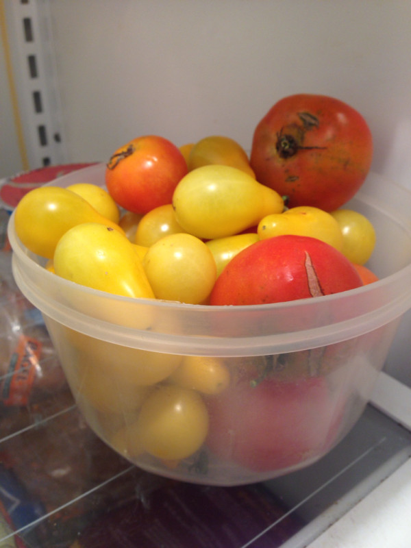 My cup quite literally runneth over w/ tomatoes. Time to make some refrigerator jam this week. http://twitpic.com/dh8cpm