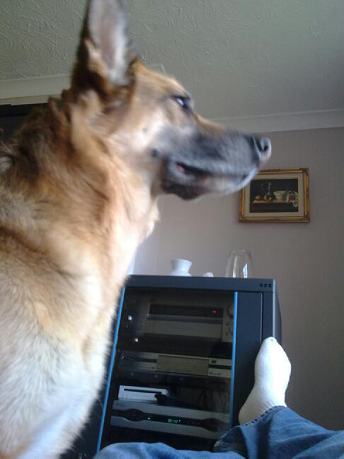 Harvey is on guard.