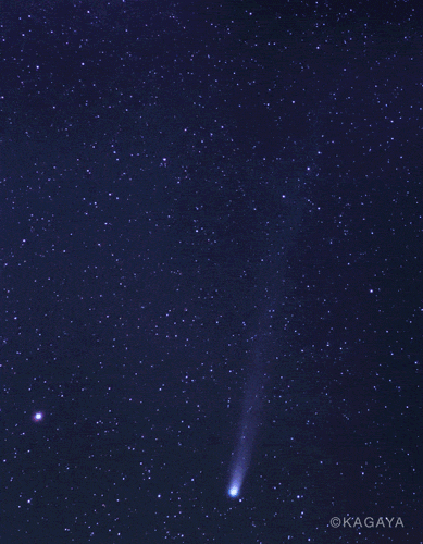 今朝、なんかすごいの撮れました。
ラヴジョイ彗星を望遠レンズで連写中、流星痕をともなった流れ星が写野に偶然飛び込んできました！