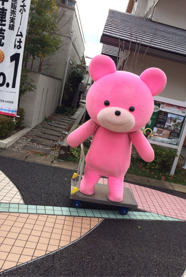 ナゴヤハウジングセンターにて、台車で移動するピンクのプチクマ。雨上がりで着ぐるみが汚れないように？