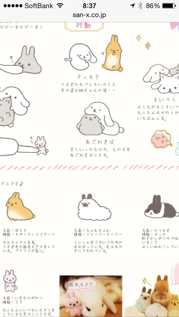 もふたんず。たとえようもなくやわらないうさぎ。たれぱんだみたい（・x・) 

名前: もふたん
種類: ホーランドロップ

ティモテな行動／(・x・)＼

San-X http://www.san-x.co.jp/blog/goods/2014/03/mft.html