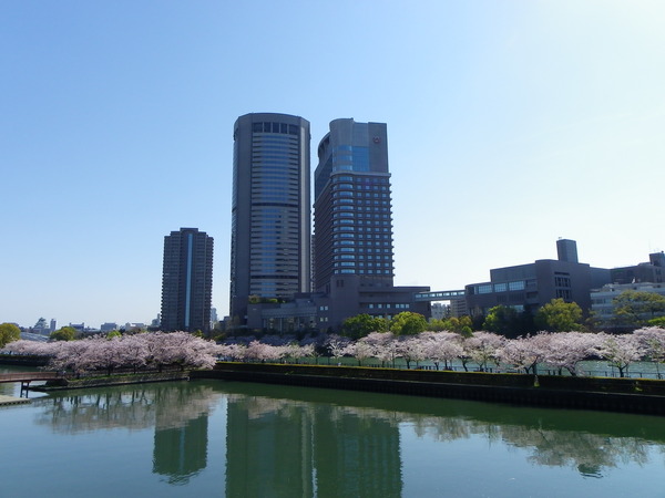 桜いろいろ撮ってみた。１