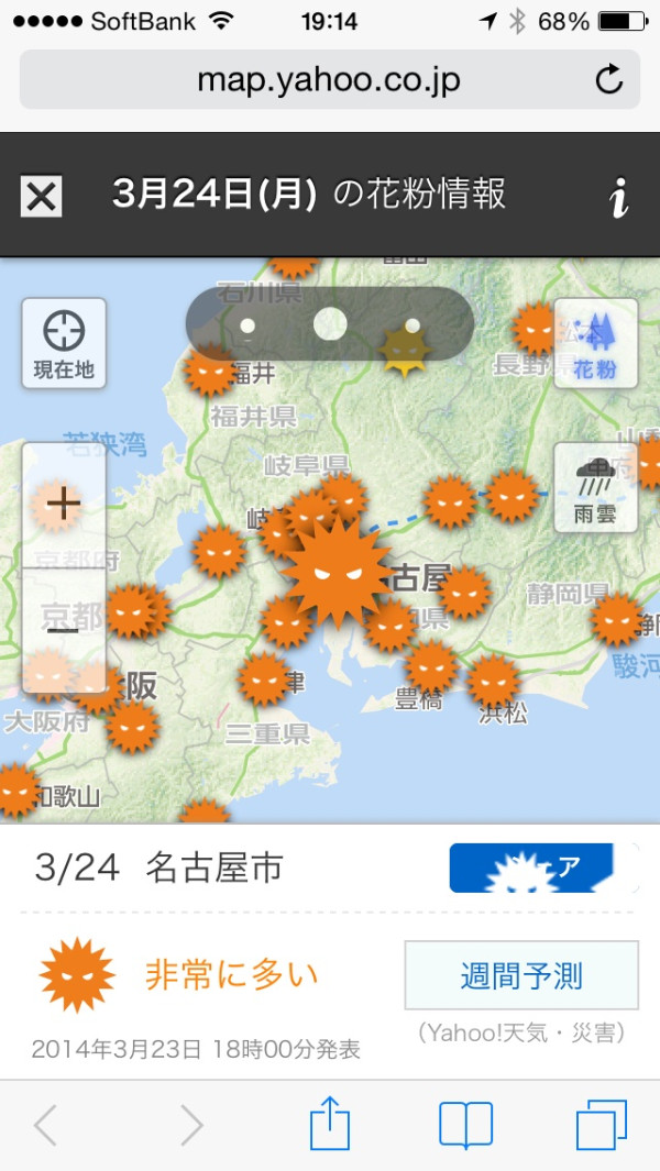 名古屋は明日も花粉多そう(´Д` )