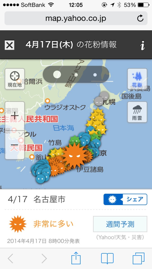 ヒノキ花粉ピークっぽい。