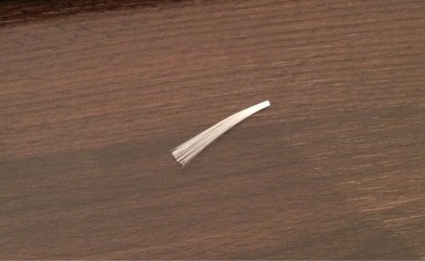 ルンバくんのブラシがちぎれて落ちてた(°_°)